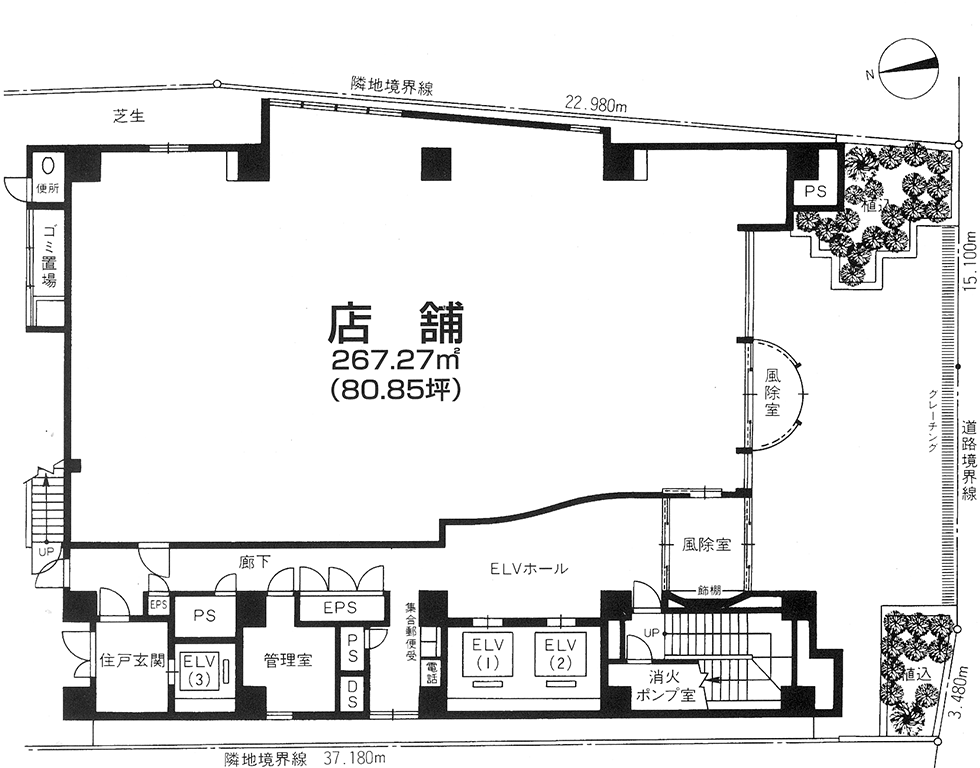 基準階平面図　店舗